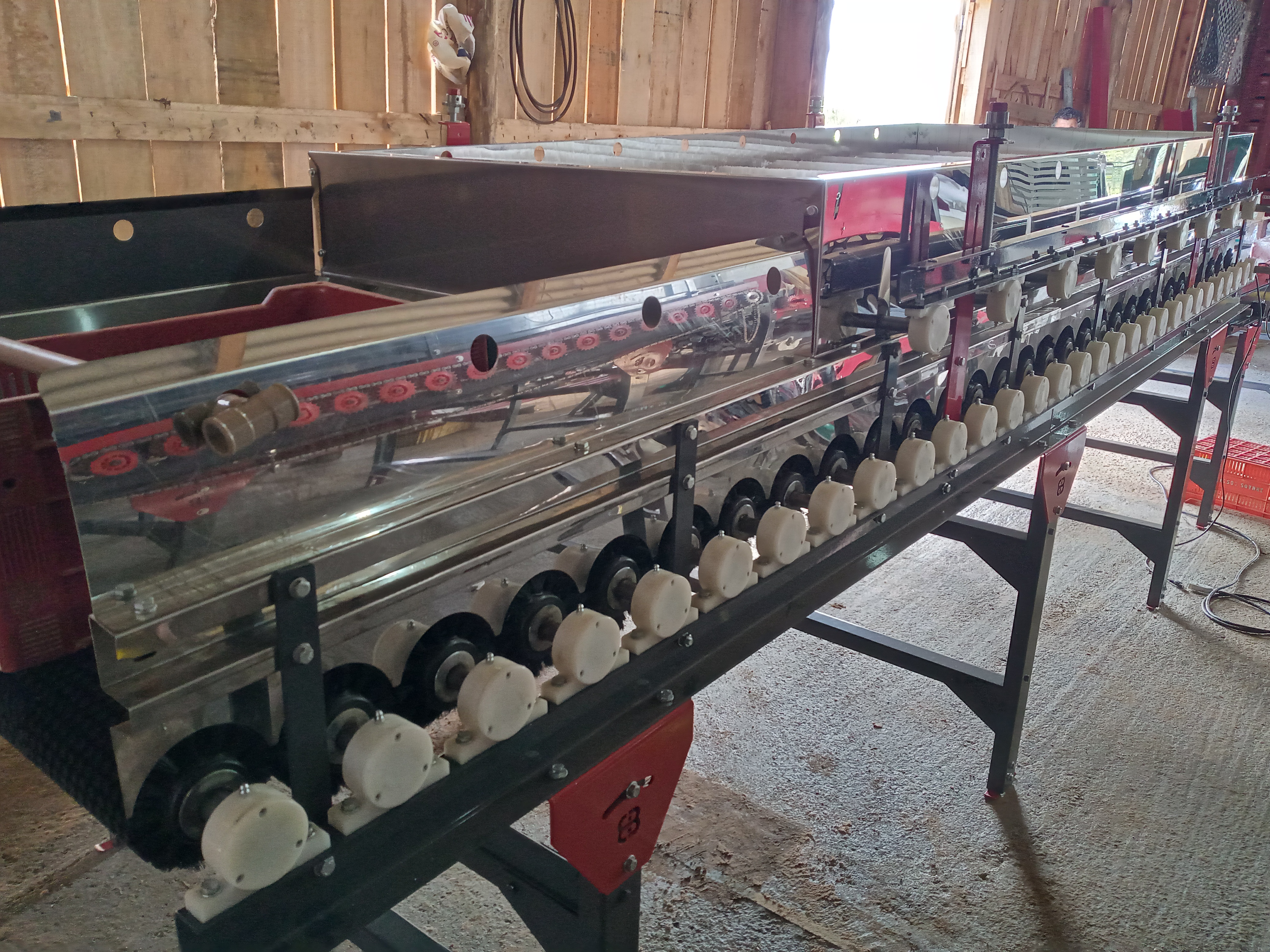 Máquina para Beneficiamento de Batata Doce