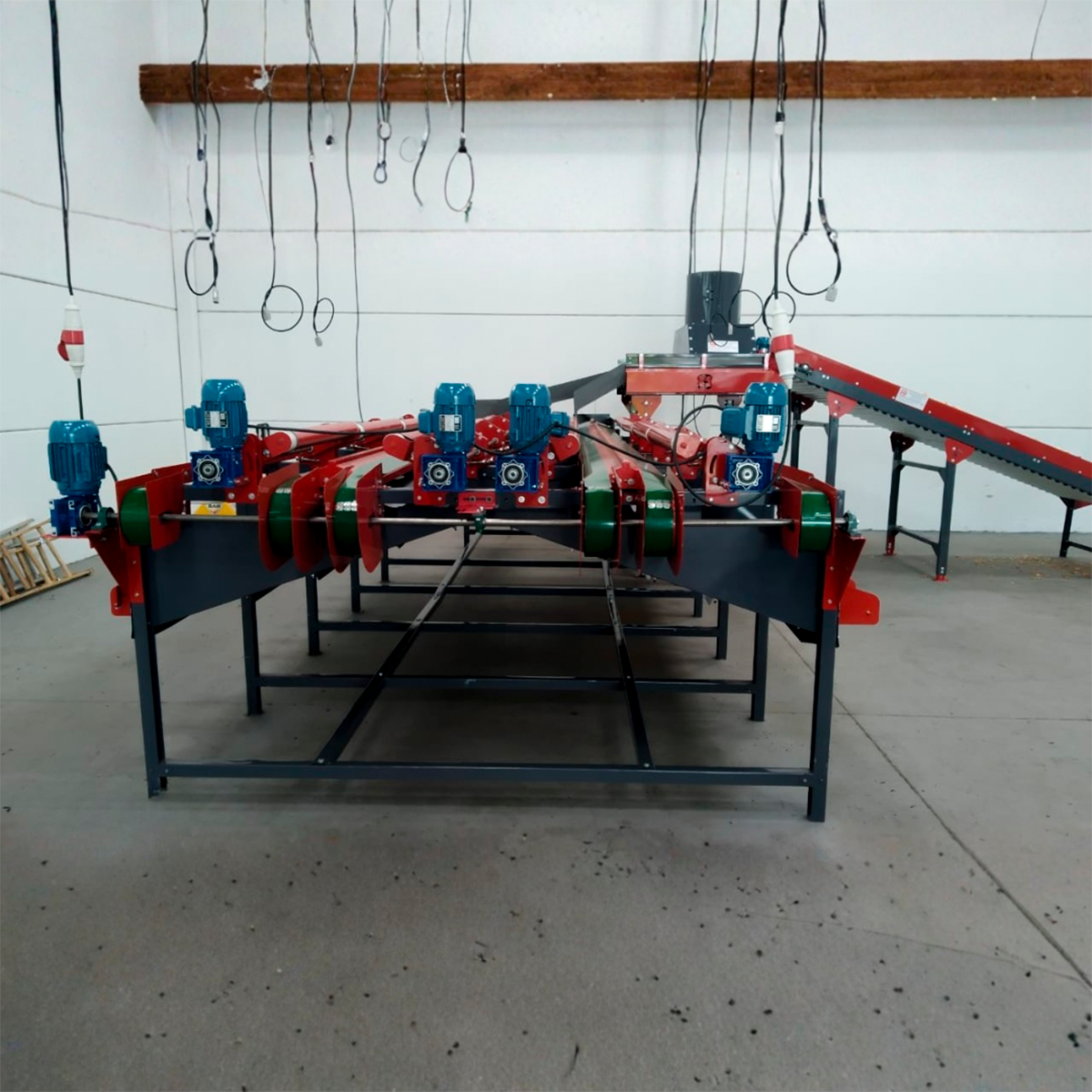 Máquina para Beneficiamento de Cebolas