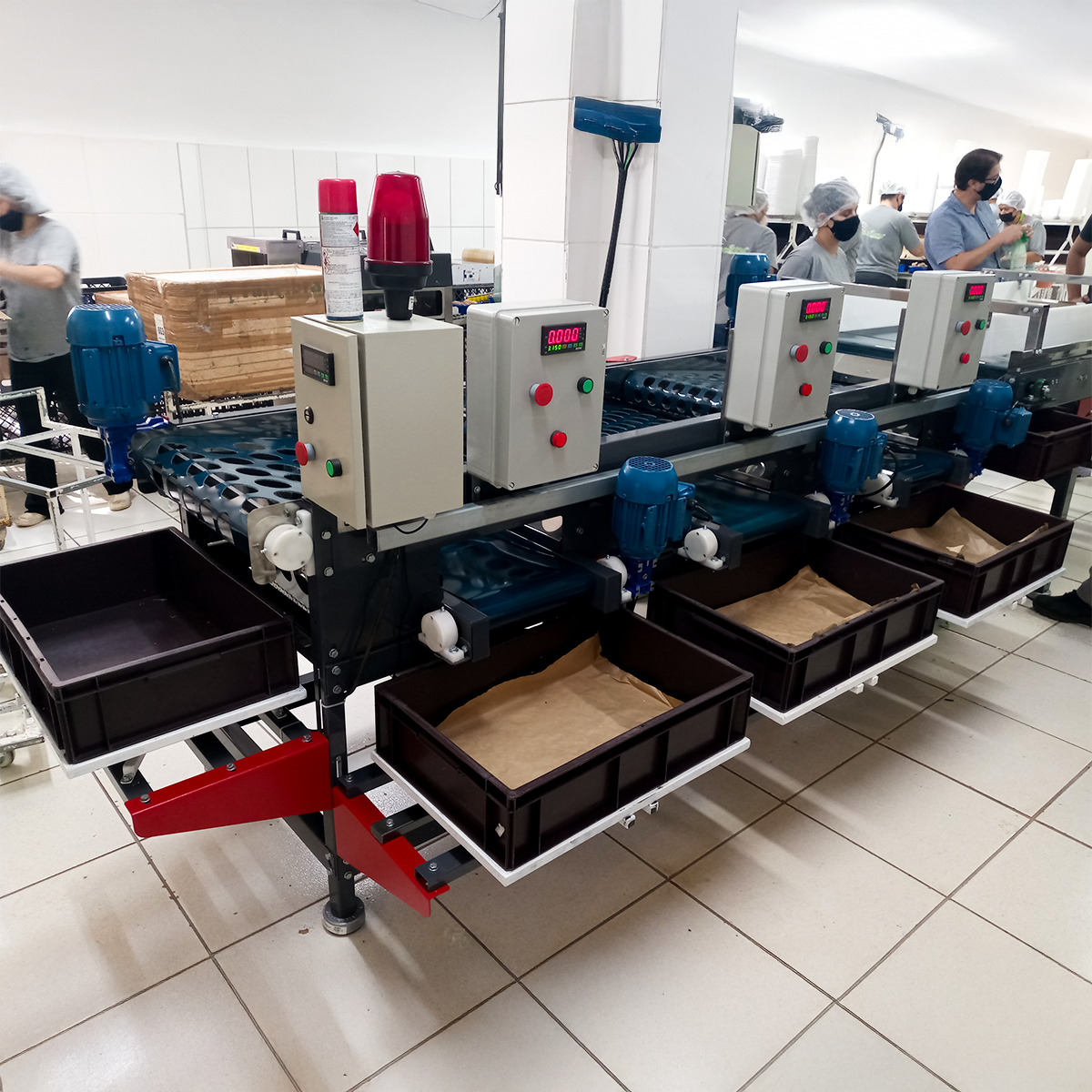 Polidor ou repasse de frutas