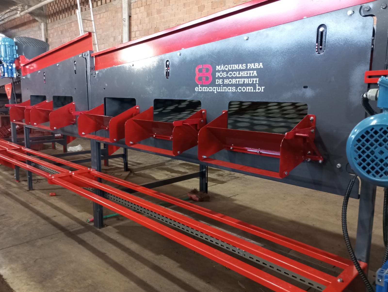 Beneficiadora de Tomates